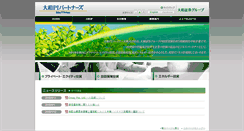 Desktop Screenshot of dpipartners.co.jp